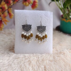 silver tonned Casual Earrings-