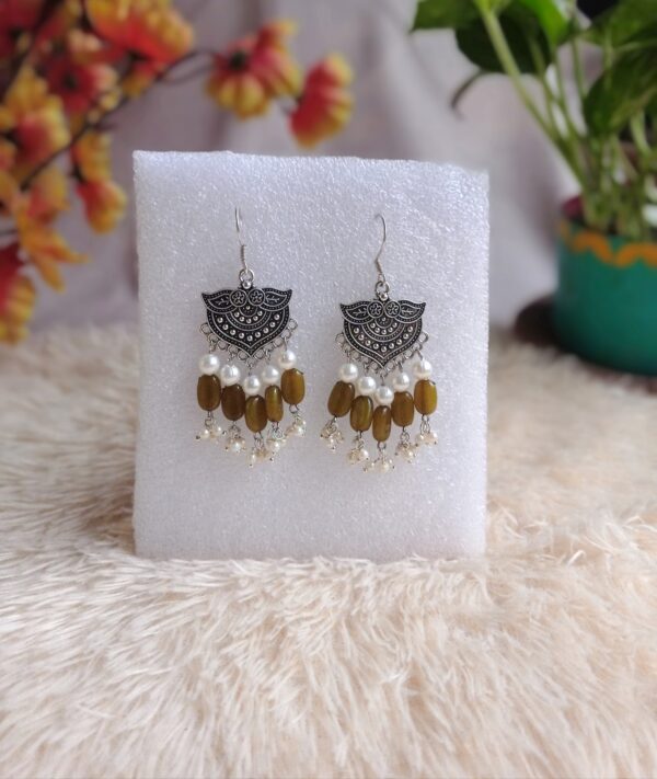 silver tonned Casual Earrings-